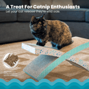 Catstages Easy Life Hammock Corrugated Cat Scratcher With Catnip - Glad Dogs Nation | ALL Profits Donated