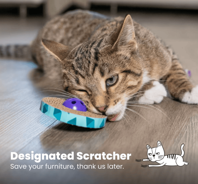 Catstages Spin & Scratch Jingly Bell Cat Toy: 2 count - Glad Dogs Nation | ALL Profits Donated