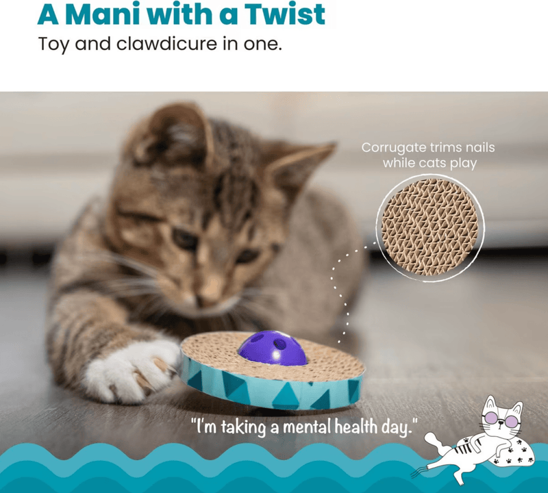 Catstages Spin & Scratch Jingly Bell Cat Toy: 2 count - Glad Dogs Nation | ALL Profits Donated