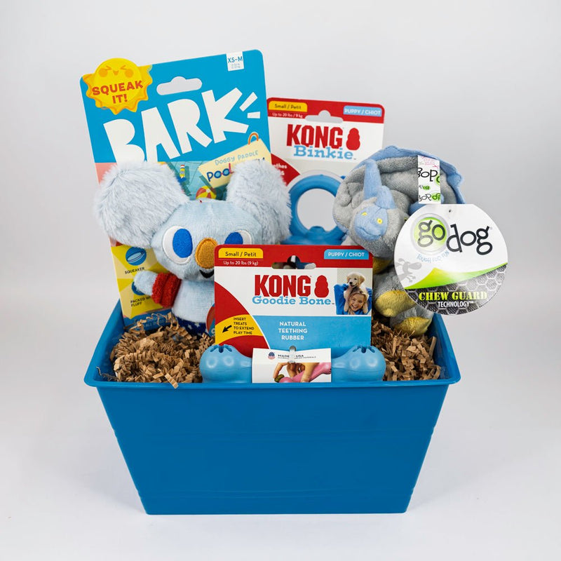 Chasin' The Blues SQUEAKY & Chewy Dog & Puppy Gift Basket / BARK, Kong, GoDog - Glad Dogs Nation | ALL Profits Donated