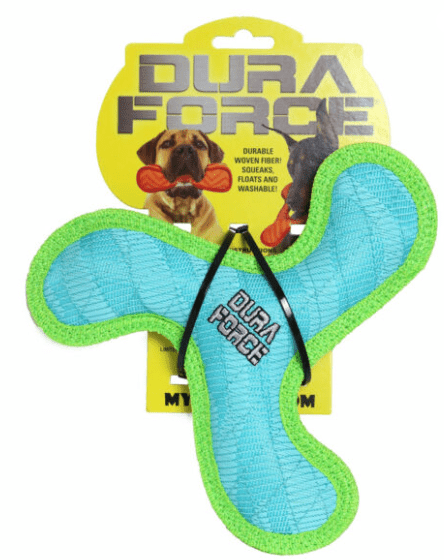 DuraForce Jr. Boomerang with 3 Squeakers: 4 Colors - Glad Dogs Nation | ALL Profits Donated