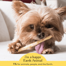 Earth Animal No Hide Chews Dog & Cat Treats Stix 10 Pack: Beef - Glad Dogs Nation | ALL Profits Donated