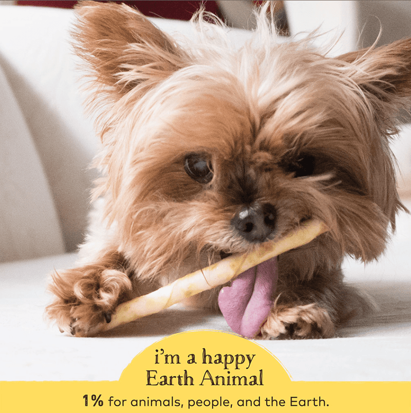 Earth Animal No Hide Chews Dog & Cat Treats Stix 10 Pack: Beef - Glad Dogs Nation | ALL Profits Donated