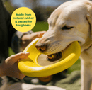 Earth Rated Flyer Dog Toy, Large - Glad Dogs Nation | ALL Profits Donated