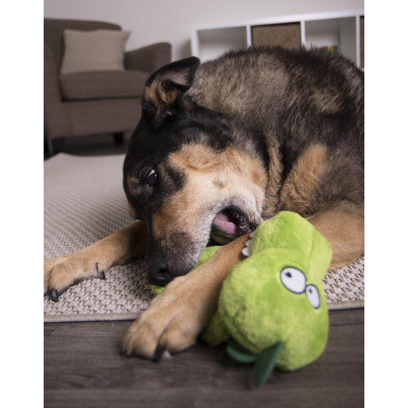 Hear Doggy's Silent Squeaker Flat Gator with Chew Guard Dog Toy - CountryMax