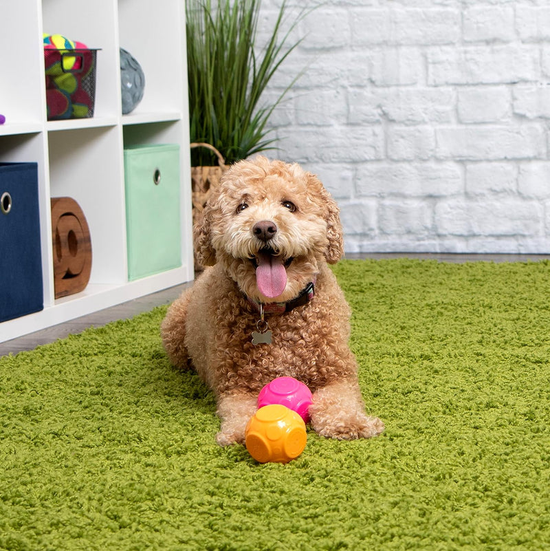 Godog Silent Squeaker Ball Dog Toy 2pk - Glad Dogs Nation | ALL Profits Donated