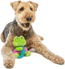 GURU Loveys Frog Plush Interactive Squeak Dog Toy - Glad Dogs Nation | ALL Profits Donated