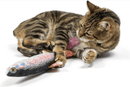 Huxley & Kent Cat 14.5" Kicker Rainbow Trout Catnip Crinkle Plush Cat Toy CHEAPER THAN CHEWY (Copy) - Glad Dogs Nation | ALL Profits Donated