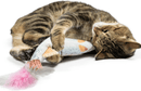 Huxley & Kent Cat 14.5" Kicker Rainbow Trout Catnip Crinkle Plush Cat Toy CHEAPER THAN CHEWY (Copy) - Glad Dogs Nation | ALL Profits Donated