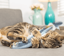 Huxley & Kent Cat 14.5" Kicker Sardine Catnip Crinkle Plush Cat Toy CHEAPER THAN CHEWY - Glad Dogs Nation | ALL Profits Donated