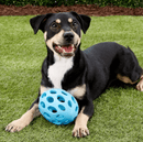 JW Pet Hol - ee Football Dog Toy: 4 Sizes, Choose Your Color - Glad Dogs Nation | ALL Profits Donated