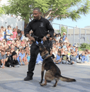 Katie's Bumpers Double Tug Firehose Toy: 5 Colors - Glad Dogs Nation | ALL Profits Donated