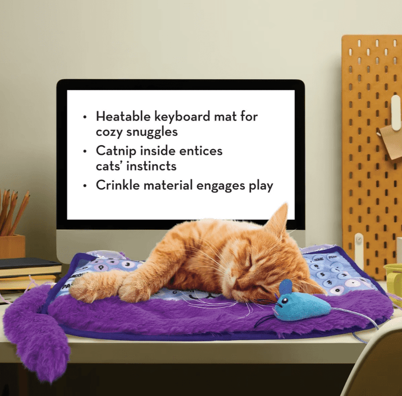 KONG Comfort Key Play Mat Plush Cat Toy with Catnip, Purple - Glad Dogs Nation | ALL Profits Donated