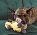 KONG Comfort Tykes Removable Squeaker Dog Toy Gosling: S, M Dogs - Glad Dogs Nation | ALL Profits Donated