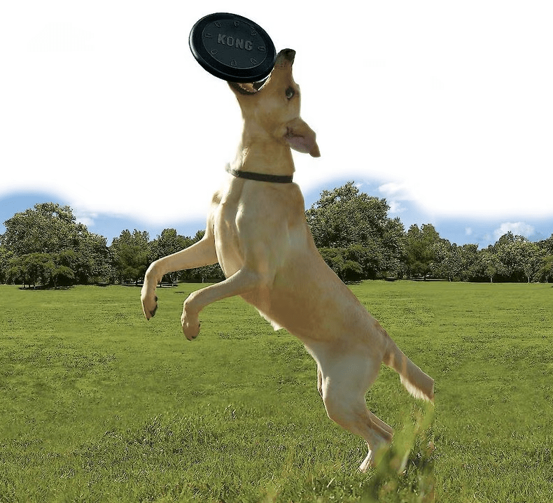 Kong Extreme Flyer Dog Toy / Flying Disk / CHEAPER THAN CHEWY! - Glad Dogs Nation | ALL Profits Donated