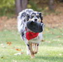 Kong Extreme Flyer Dog Toy / Flying Disk / CHEAPER THAN CHEWY! - Glad Dogs Nation | ALL Profits Donated