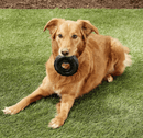 KONG Extreme Tires Dog Toy Medium/Large CHEAPER THAN CHEWY - Glad Dogs Nation | ALL Profits Donated
