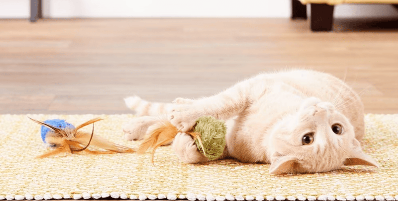 KONG Naturals Crinkle Ball with Feathers Cat Toys 2 Pack CHEAPER THAN CHEWY - Glad Dogs Nation | ALL Profits Donated