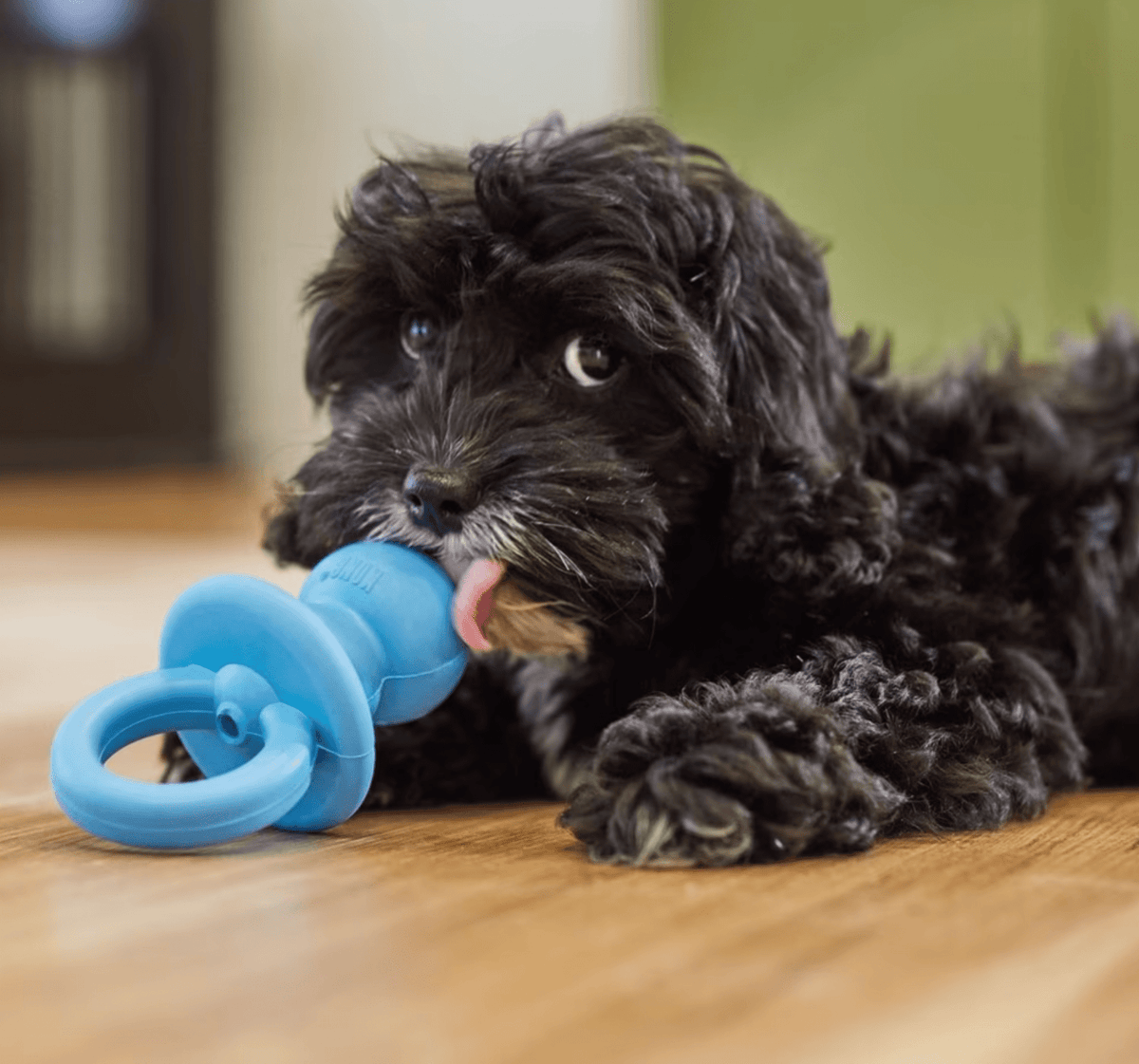 KONG Puppy Binkie Treat Dispensing Toy • CHEAPER THAN CHEWY / MADE IN