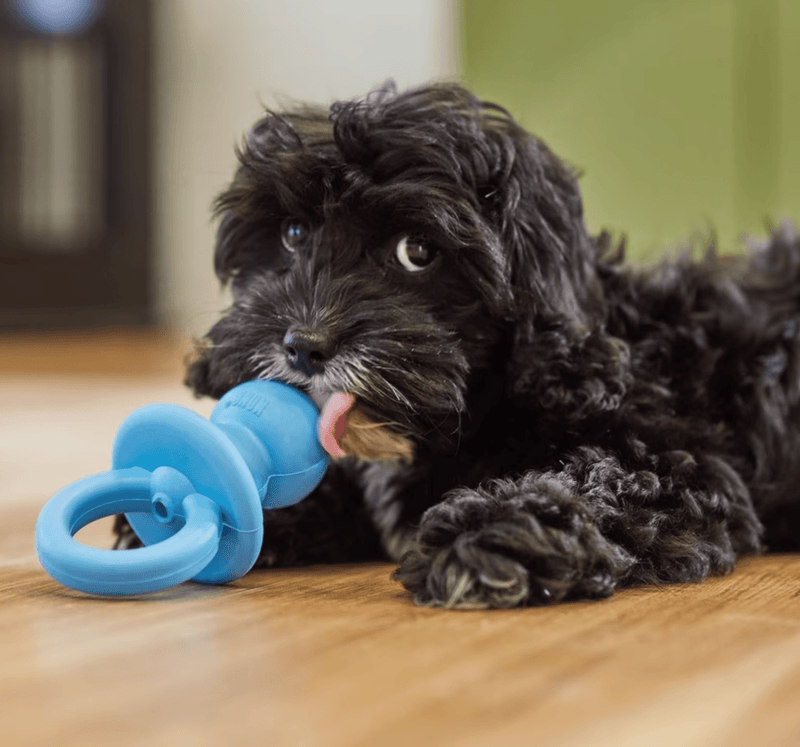 KONG Puppy Binkie Treat Dispensing Toy • CHEAPER THAN CHEWY / MADE IN USA - Glad Dogs Nation | ALL Profits Donated