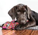 KONG Wubba Finz Dog Toy: Pink or Blue CHEAPER THAN CHEWY - Glad Dogs Nation | ALL Profits Donated