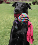 KONG Wubba Weave Dog Toy: Small • Choose Color • CHEAPER THAN CHEWY - Glad Dogs Nation | ALL Profits Donated