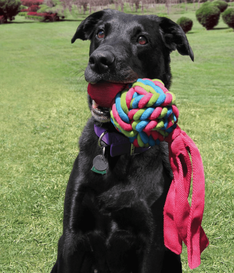 KONG Wubba Weave Dog Toy: Small • Choose Color • CHEAPER THAN CHEWY - Glad Dogs Nation | ALL Profits Donated