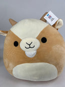 Large Squishy Cuddlers Super Soft Plush Pet Toys: Squeak & NO Squeak - Glad Dogs Nation | ALL Profits Donated