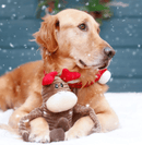 Large ZippyPaws Holiday Crinkle Reindeer Squeaky Plush Dog Toy - Glad Dogs Nation | ALL Profits Donated