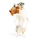 Lulubelles I'm Stuffed Turkey Squeak & Crinkle Dog Toy: 2 Sizes - Glad Dogs Nation | ALL Profits Donated