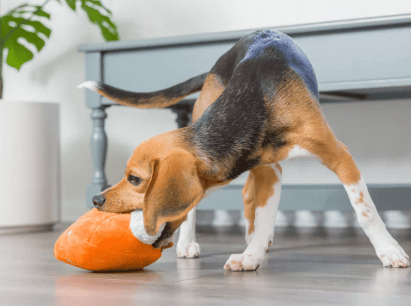 Lulubelles Punkin Pie Sweetie Pie Power Plush Dog Toy: 2 Sizes - Glad Dogs Nation | ALL Profits Donated