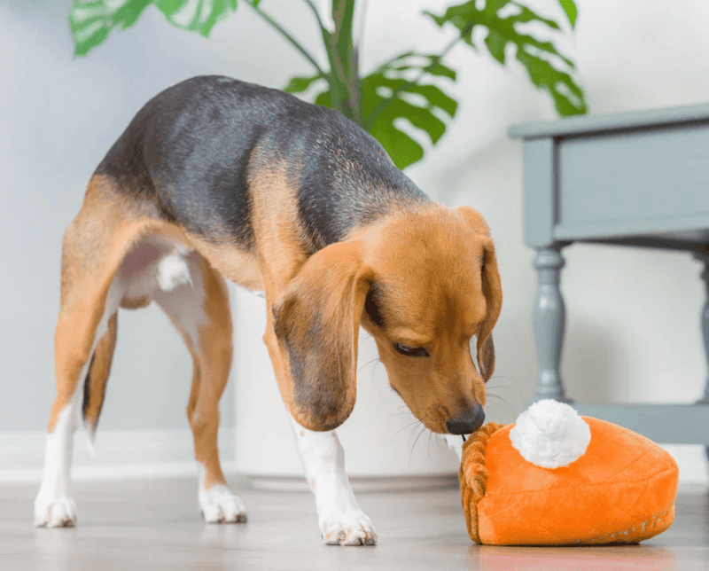 Lulubelles Punkin Pie Sweetie Pie Power Plush Dog Toy: 2 Sizes - Glad Dogs Nation | ALL Profits Donated