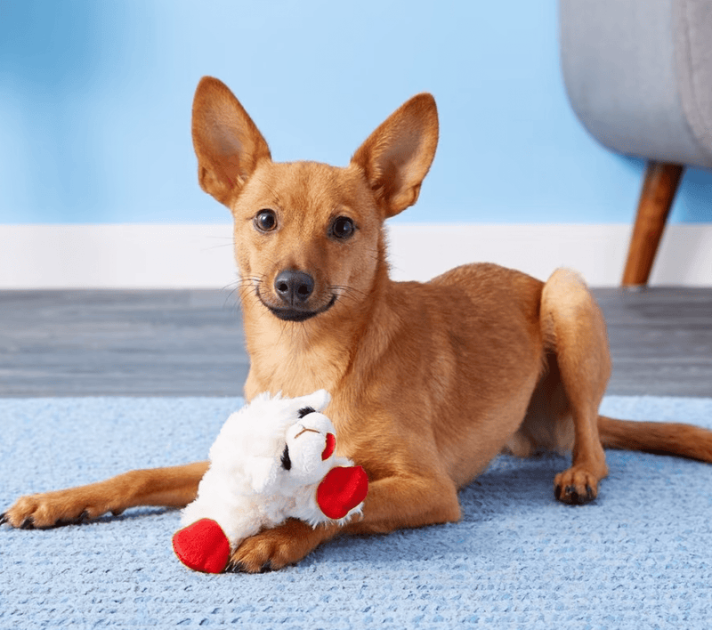 Multipet Lamb Chop Lambchop Squeaky Plush Dog Toy: 2 Sizes - Glad Dogs Nation | ALL Profits Donated