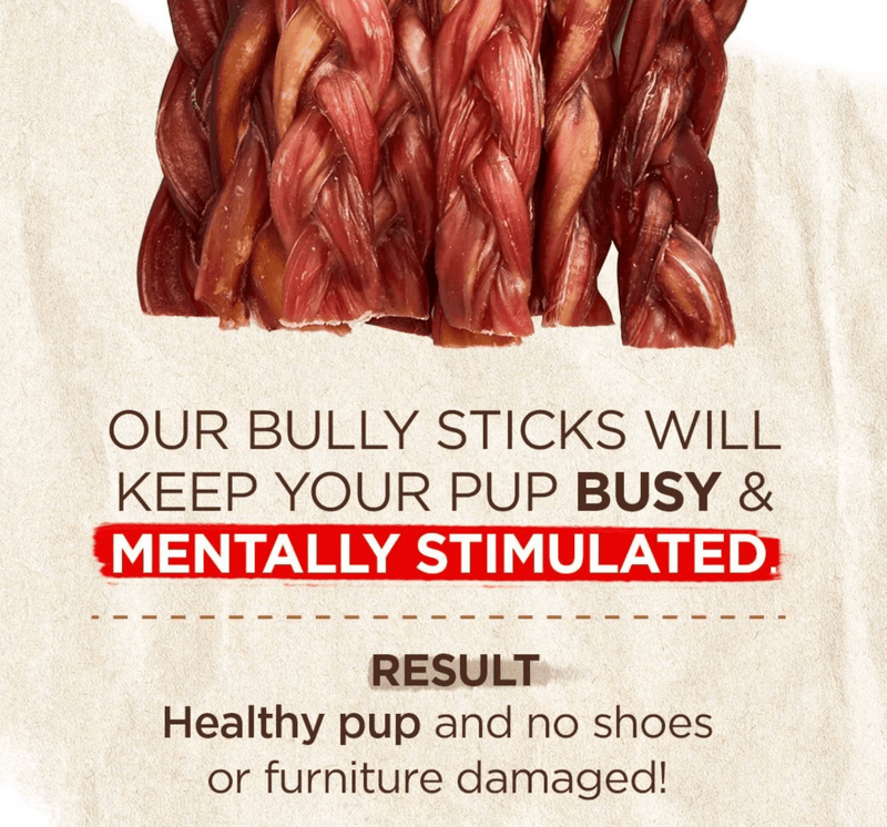 Natural Farm Braided Beef 6" Bully Sticks Dog Treats CHEAPER THAN CHEWY - Glad Dogs Nation | ALL Profits Donated