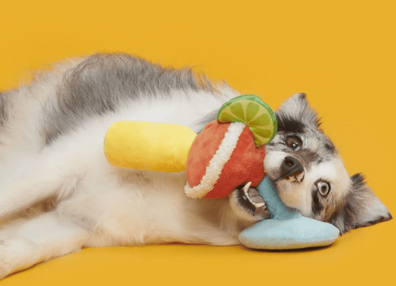 NEW! BARK Bulldog Barkarita Squeaky & Crinkly Dog Toy - Glad Dogs Nation | ALL Profits Donated