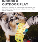 Outward Hound Fire Biterz Lizard Durable Fire Hose Dog Toy: 2 Squeakers - Glad Dogs Nation | ALL Profits Donated