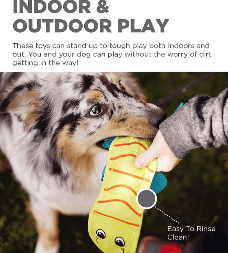 Outward Hound Fire Biterz Lizard Durable Fire Hose Dog Toy: 2 Squeakers - Glad Dogs Nation | ALL Profits Donated