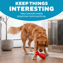 Outward Hound Grunting Fetch Stick Red Bunny Dog Toy - Glad Dogs Nation | ALL Profits Donated