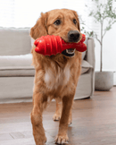 Outward Hound Grunting Fetch Stick Red Bunny Dog Toy - Glad Dogs Nation | ALL Profits Donated