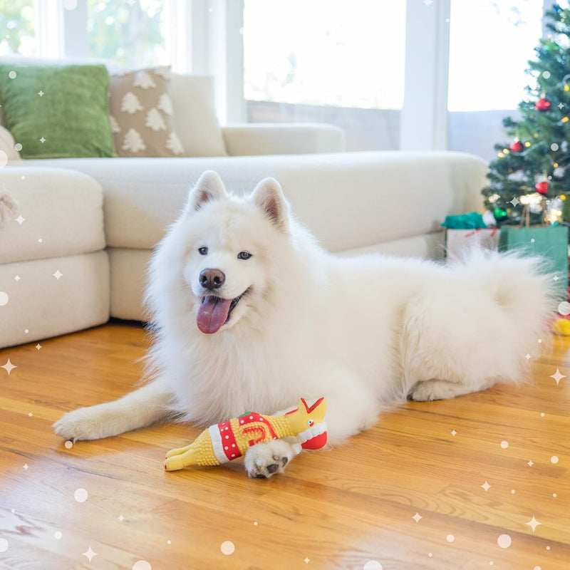 Outward Hound Squawkers Christmas Latex Rubber Chicken: Earl - Glad Dogs Nation | ALL Profits Donated