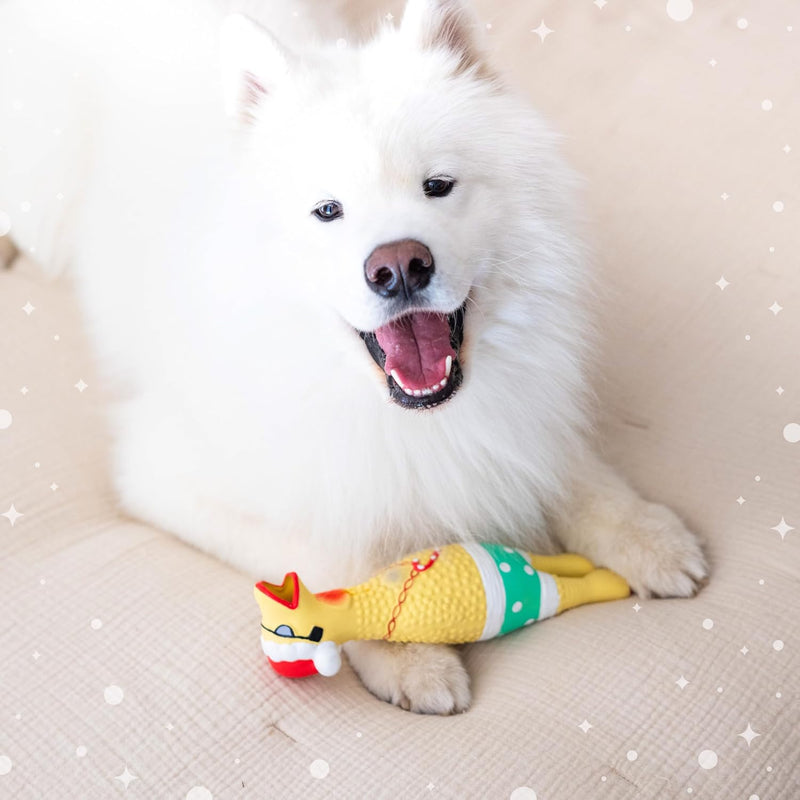 Outward Hound Squawkers Christmas Latex Rubber Chicken: Earl - Glad Dogs Nation | ALL Profits Donated