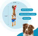 Outward Hound Squawkers Squeaky Latex Dog Toy: Earl, Large CHEAPER THAN CHEWY - Glad Dogs Nation | ALL Profits Donated