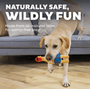 Outward Hound Squawkers Squeaky Latex Dog Toy: Earl, Large CHEAPER THAN CHEWY - Glad Dogs Nation | ALL Profits Donated