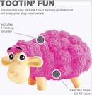 Outward Hound Tootiez Sheep Squeaky Grunting Stuffing - Free Natural Latex Dog Toy CHEAPER THAN CHEWY - Glad Dogs Nation | ALL Profits Donated