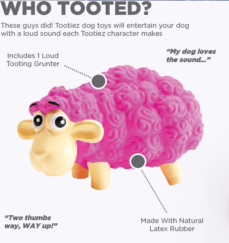 Outward Hound Tootiez Sheep Squeaky Grunting Stuffing - Free Natural Latex Dog Toy CHEAPER THAN CHEWY - Glad Dogs Nation | ALL Profits Donated