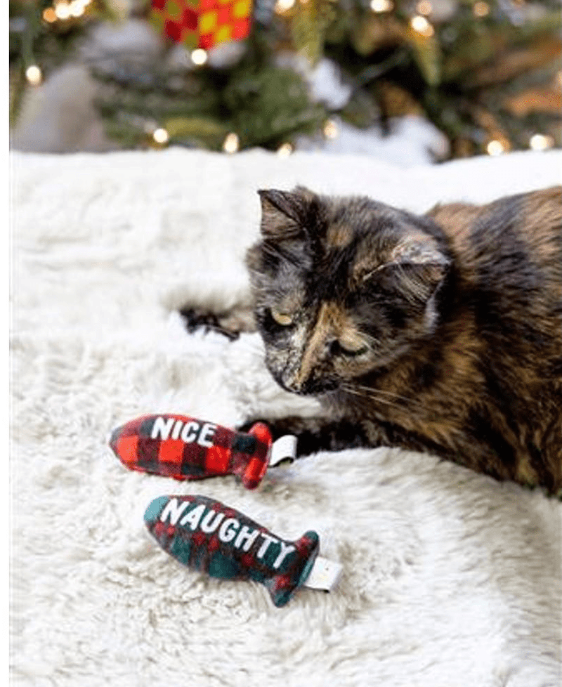 Pearhead Naughty Or Nice Catnip Cat Toy Set - Glad Dogs Nation | ALL Profits Donated