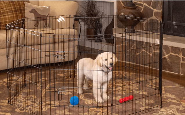 Pet Essentials 30"H x 48"W Black Steel Exercise Pen/X - Pen - Glad Dogs Nation | ALL Profits Donated