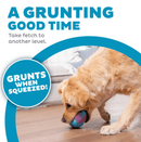 Petstages Grunt N' Punt Football Dog Toy CHEAPER THAN CHEWY - Glad Dogs Nation | ALL Profits Donated