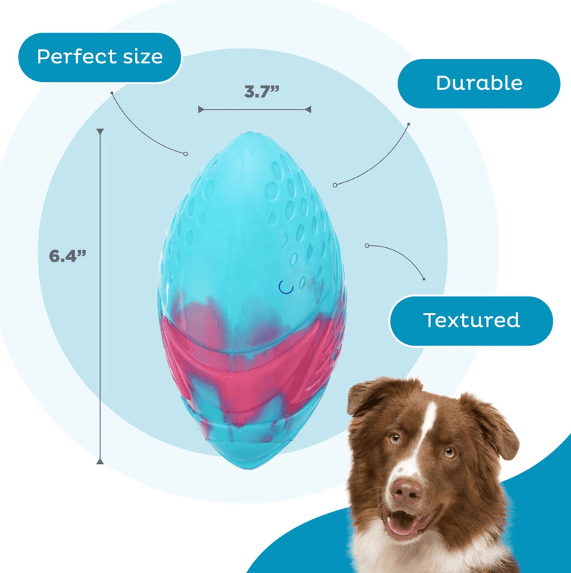 Petstages Grunt N' Punt Football Dog Toy CHEAPER THAN CHEWY - Glad Dogs Nation | ALL Profits Donated