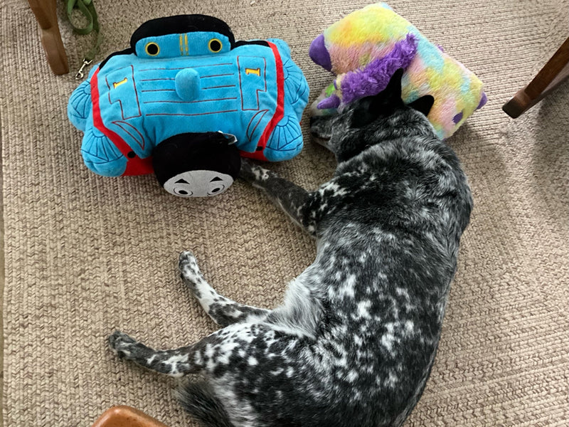 Pillow Pals Squeaky Stuffed Dog Toys: M, L & XL - Glad Dogs Nation | ALL Profits Donated